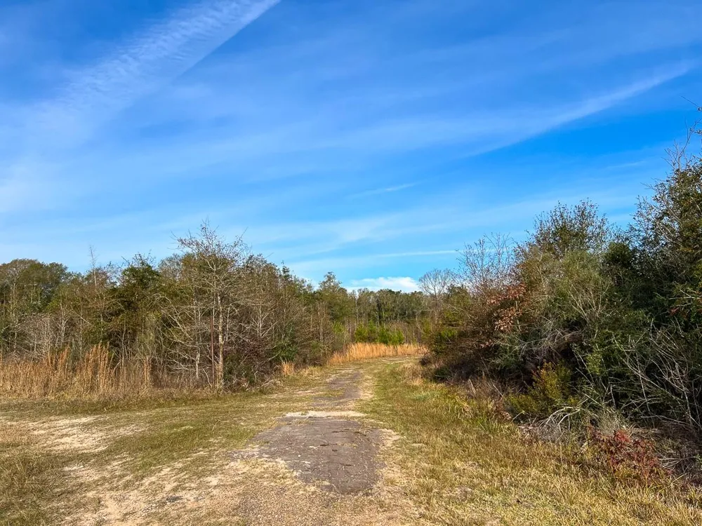 6 Tall Cotton Road Saratoga, TX 77585