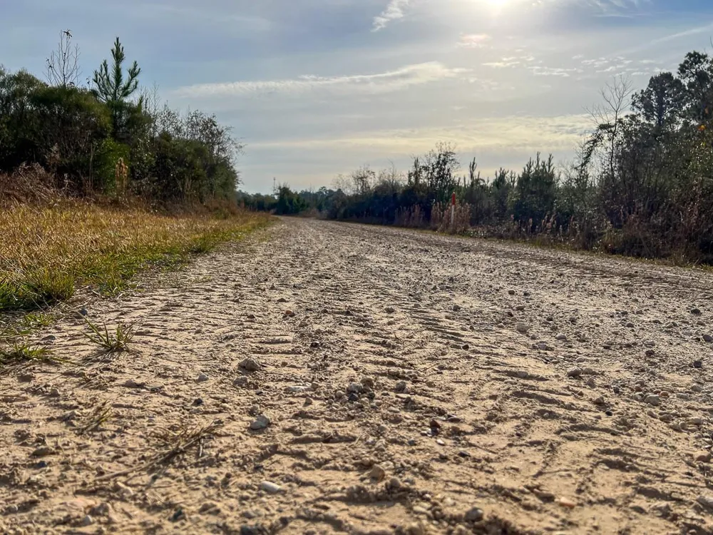 6 Tall Cotton Road Saratoga, TX 77585