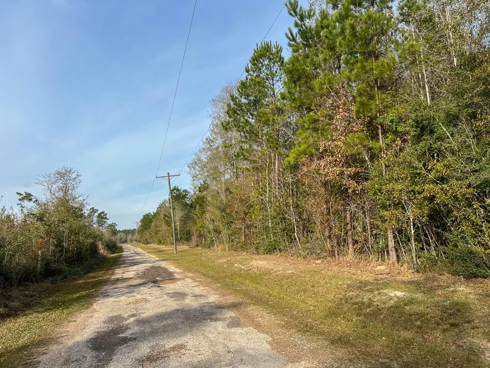 6 Tall Cotton Road Saratoga, TX 77585