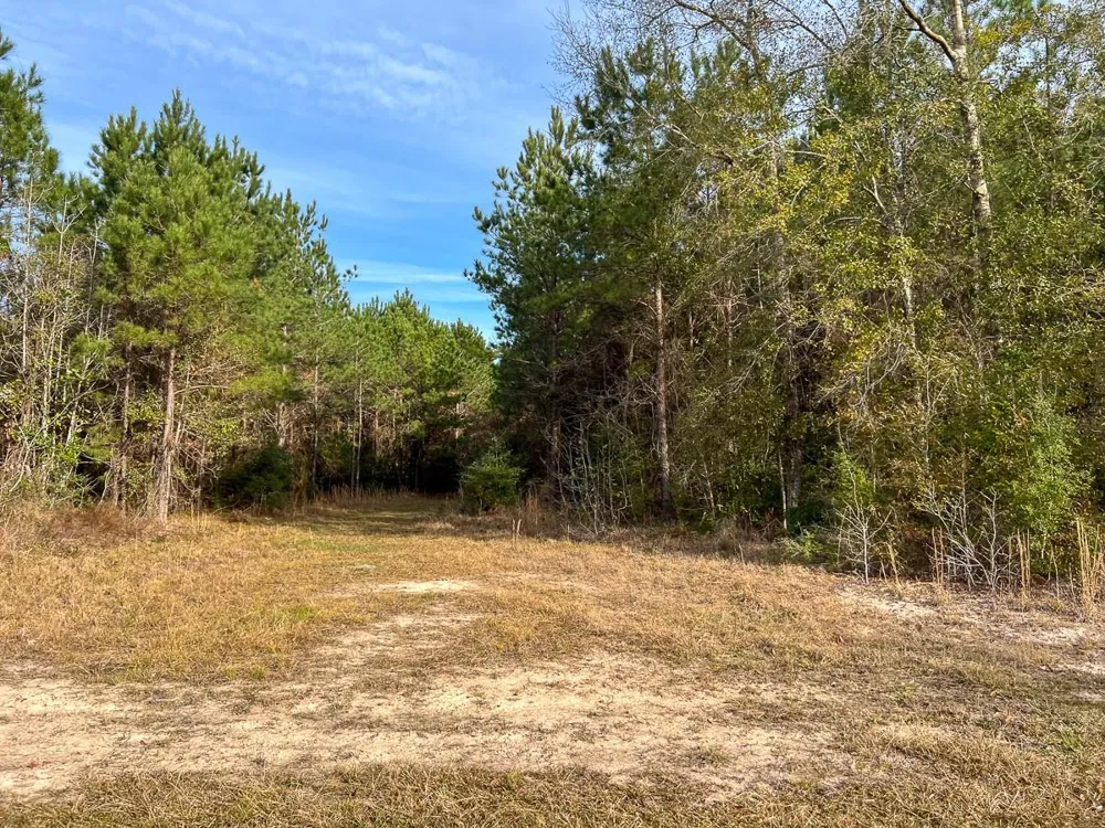 6 Tall Cotton Road Saratoga, TX 77585