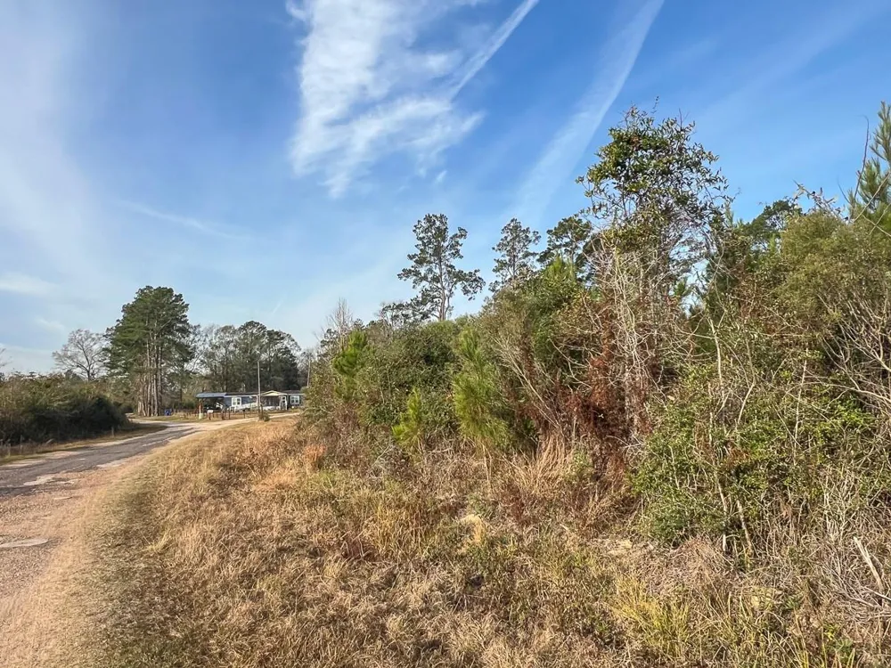 6 Tall Cotton Road Saratoga, TX 77585