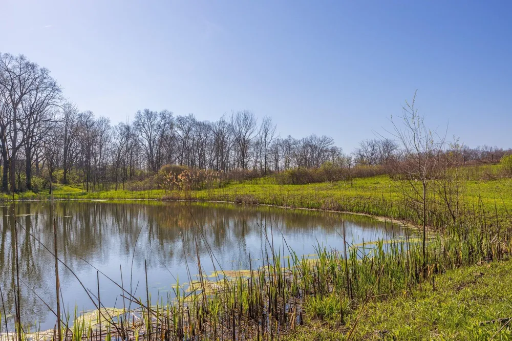 8885 Burmeister Road Saline, MI 48176