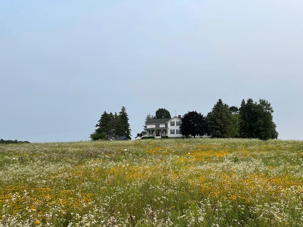 8885 Burmeister Road Saline, MI 48176