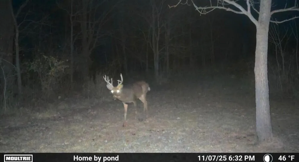 8885 Burmeister Road Saline, MI 48176