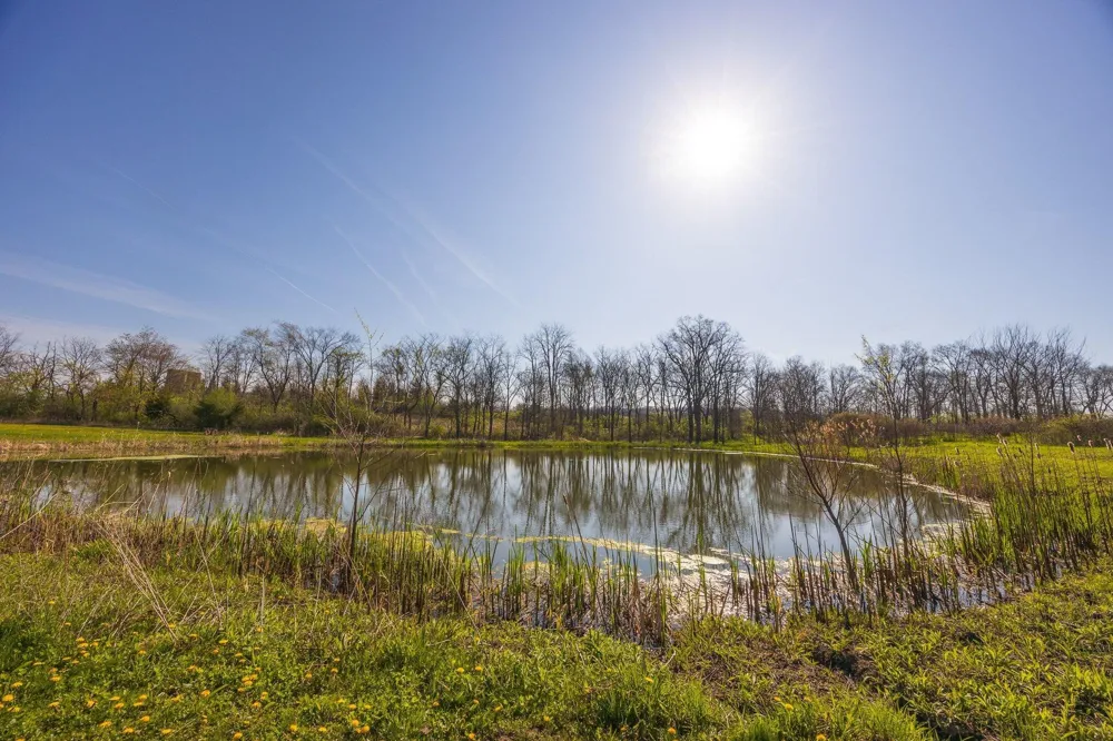 8885 Burmeister Road Saline, MI 48176