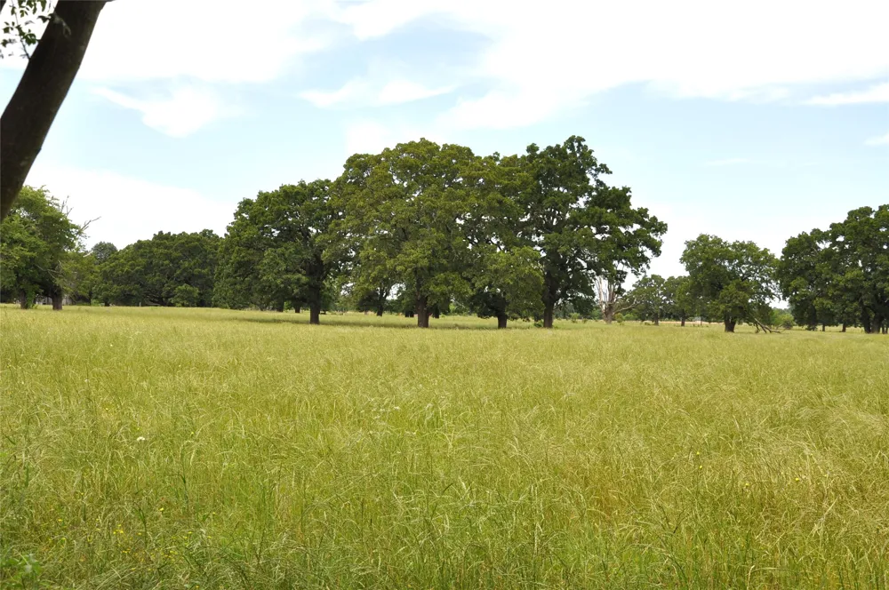 FM-1395 Edgewood, TX 75117