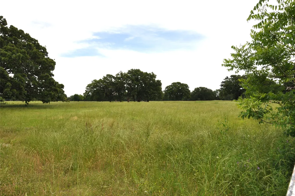 FM-1395 Edgewood, TX 75117