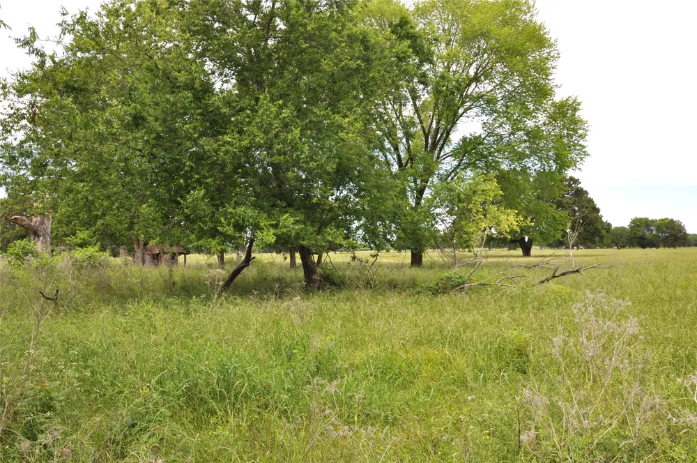 FM-1395 Edgewood, TX 75117