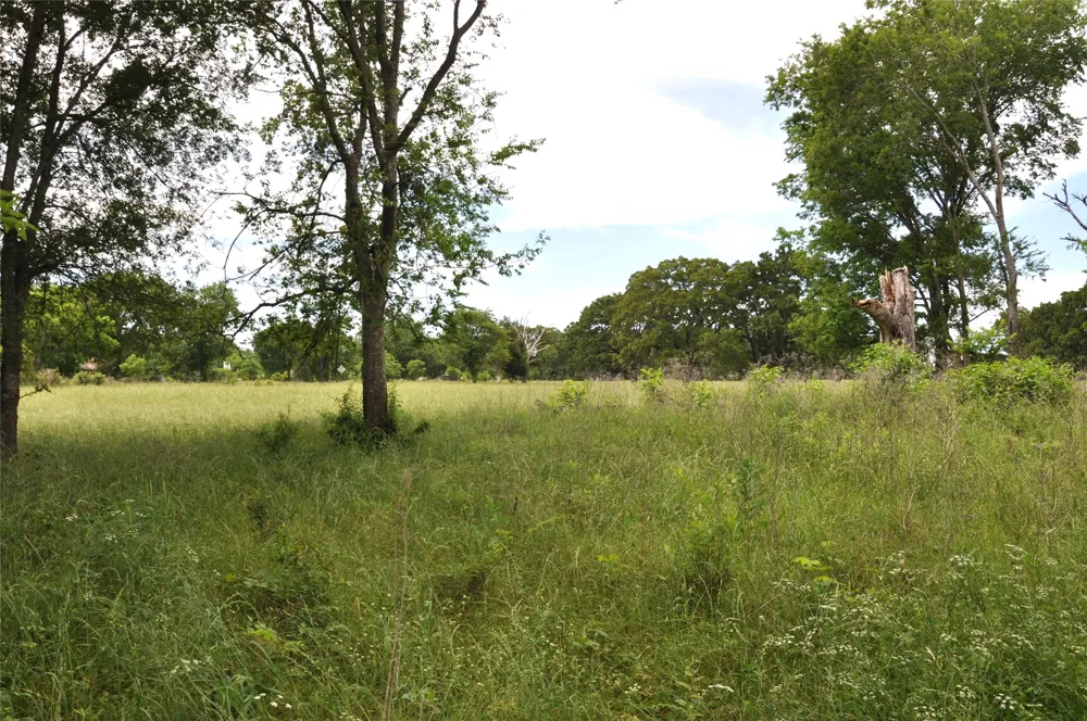 FM-1395 Edgewood, TX 75117