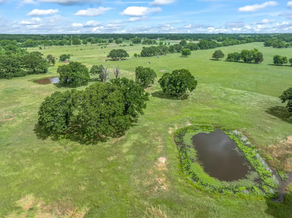 FM-1395 Edgewood, TX 75117