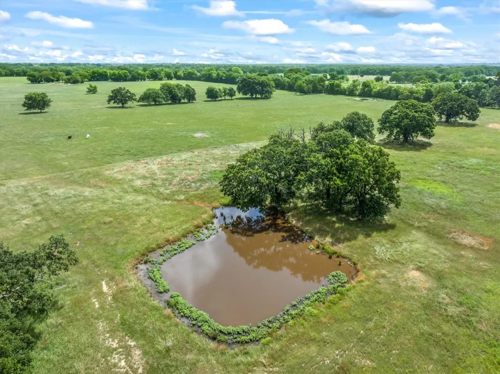 FM-1395 Edgewood, TX 75117