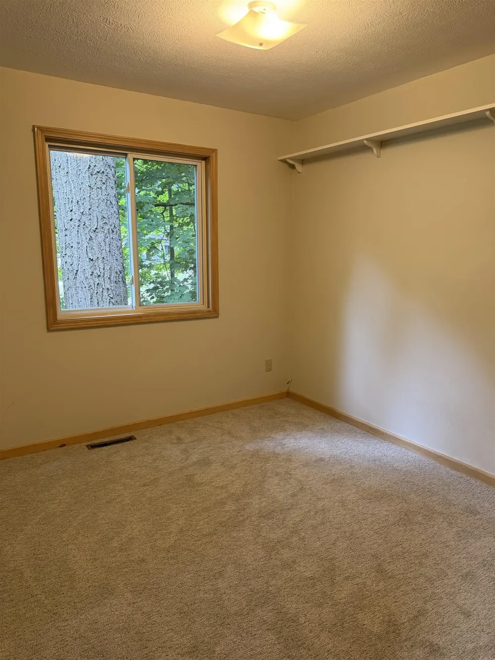 20761 White Oak Drive Almira Township, MI 49650