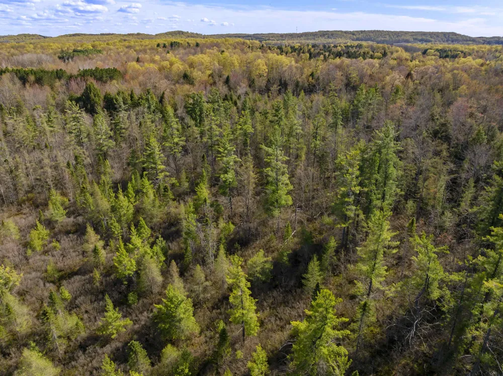 Benzie Highway Joyfield Township, MI 49616