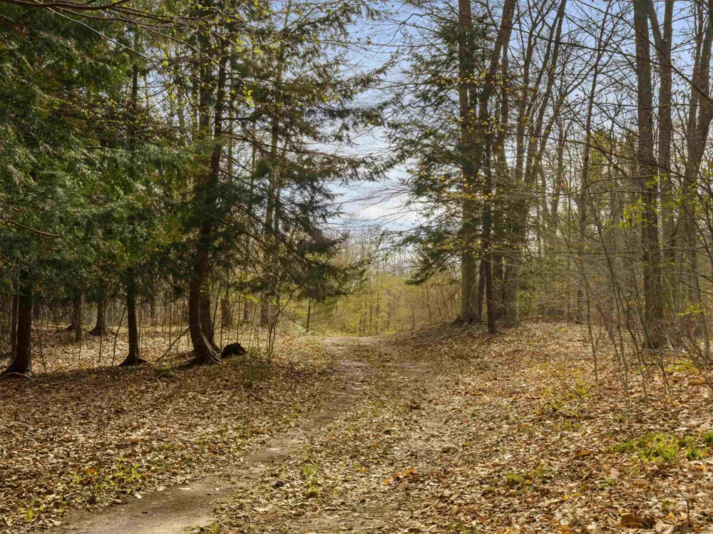 Benzie Highway Joyfield Township, MI 49616