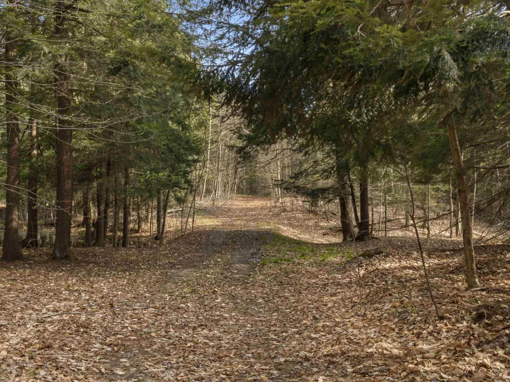 Benzie Highway Joyfield Township, MI 49616