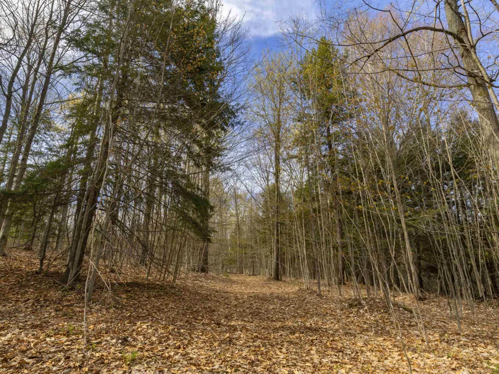 Benzie Highway Joyfield Township, MI 49616