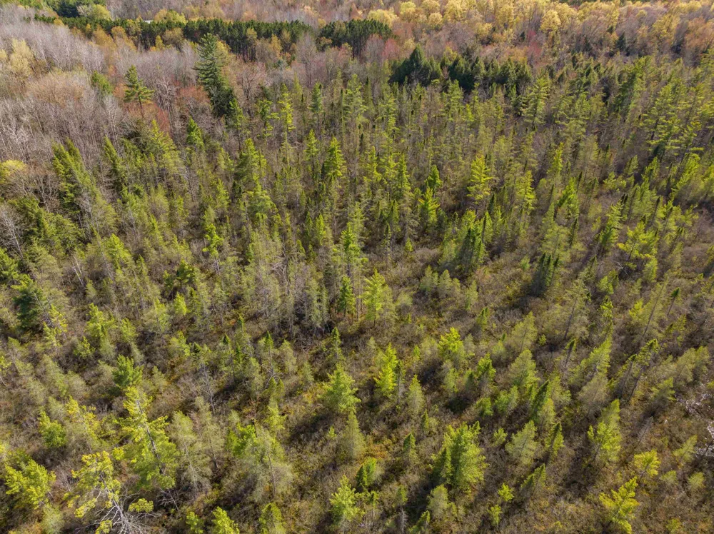 Benzie Highway Joyfield Township, MI 49616