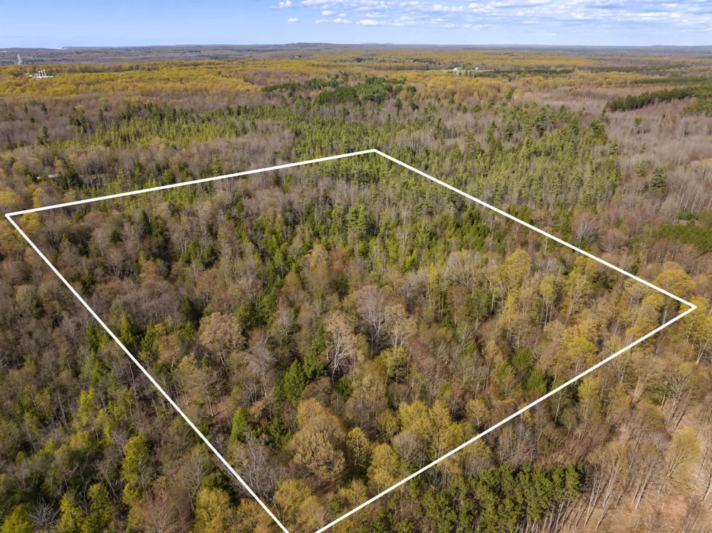 Benzie Highway Joyfield Township, MI 49616