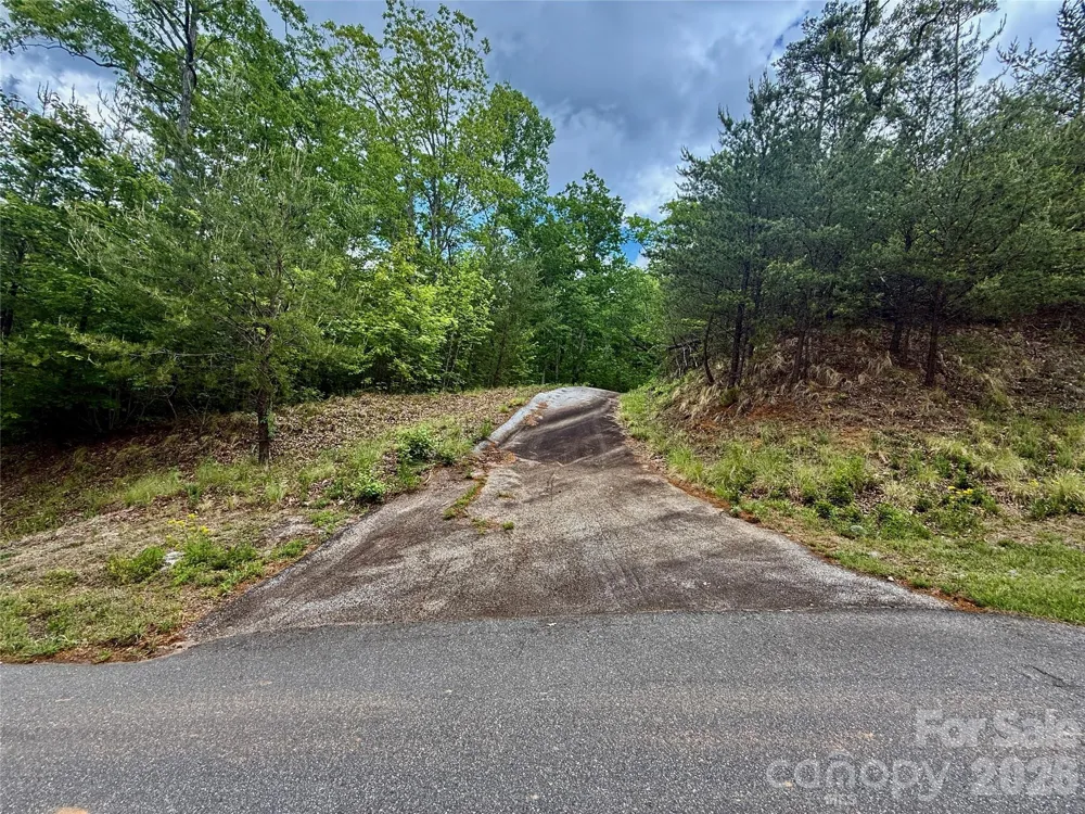 274 Bills Mountain Trail #274 Lake Lure, NC 28746