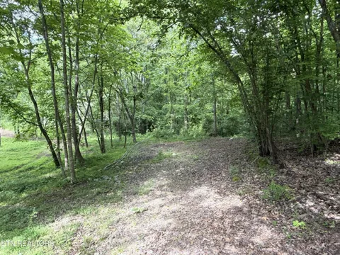 316 Wiley Town Rd