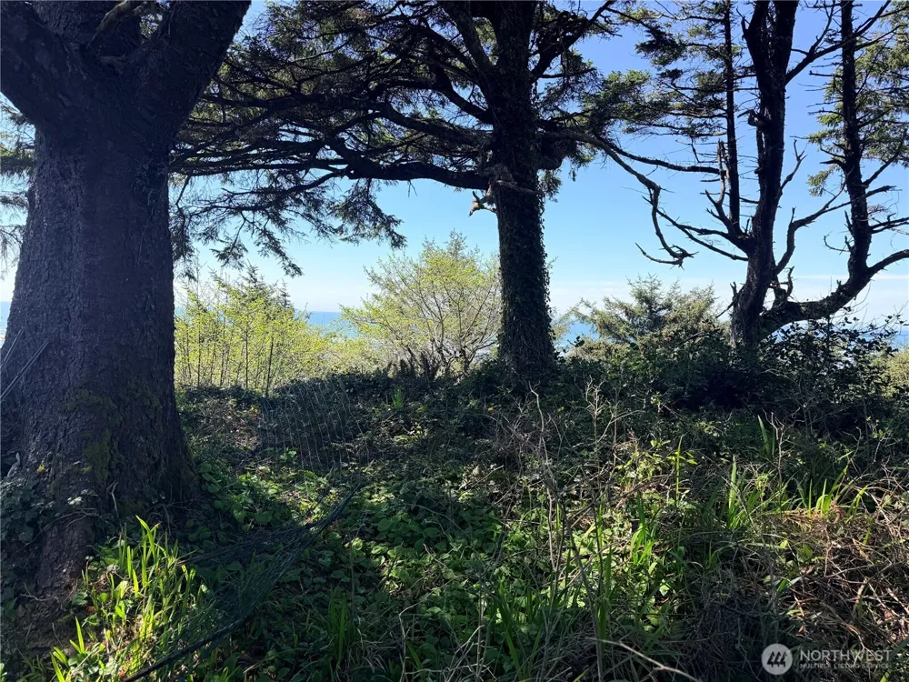 46871 State Route 109 Moclips, WA 98562