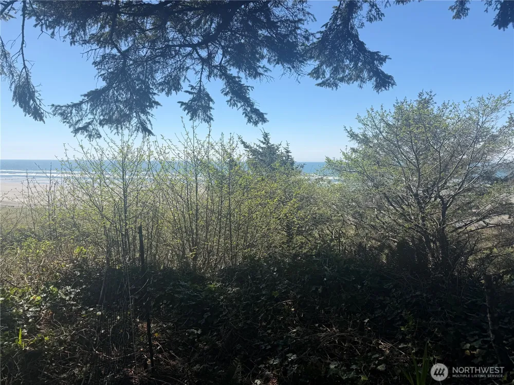 46871 State Route 109 Moclips, WA 98562