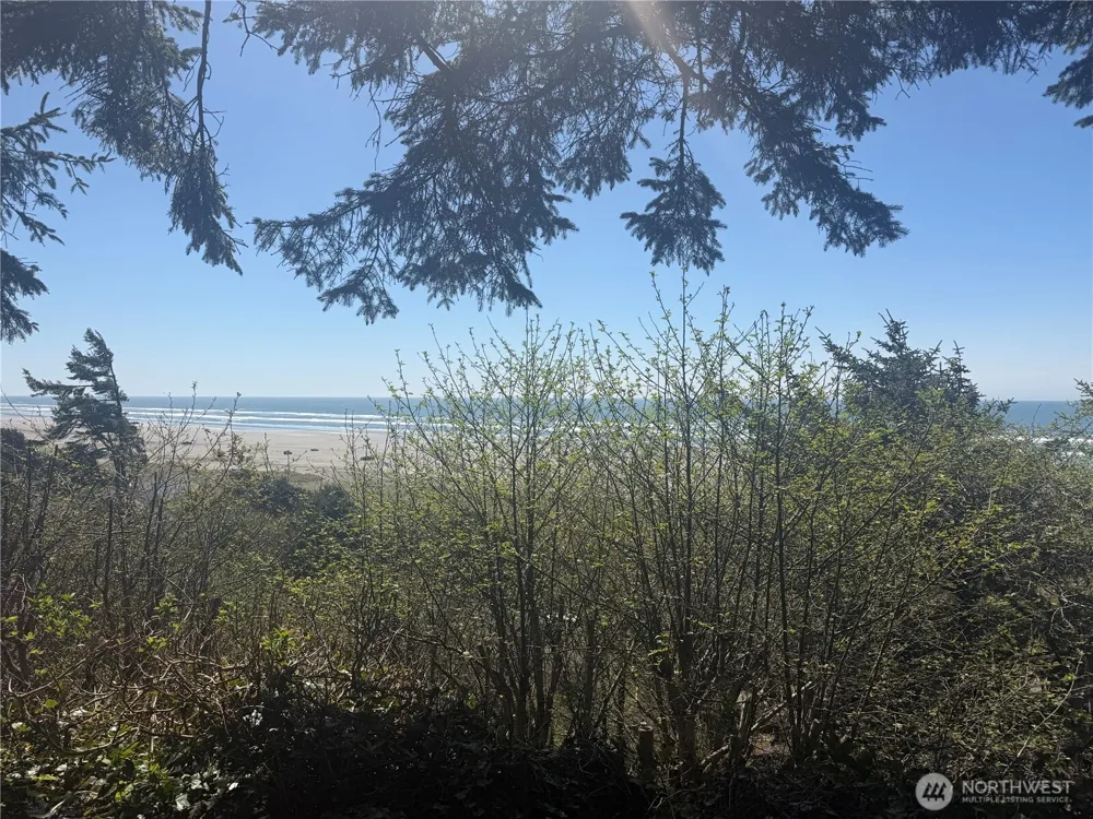 46871 State Route 109 Moclips, WA 98562