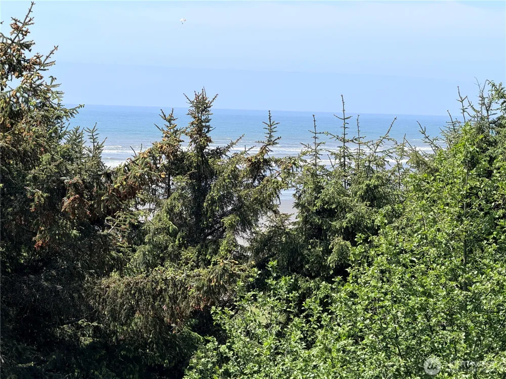 46871 State Route 109 Moclips, WA 98562