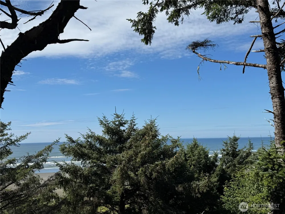 46871 State Route 109 Moclips, WA 98562
