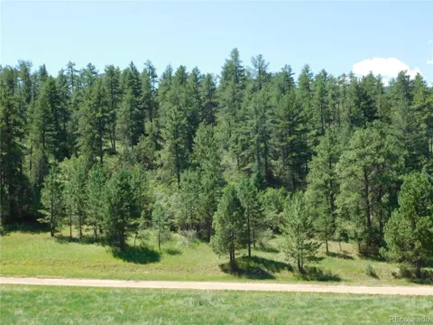 4668 Comanche Drive