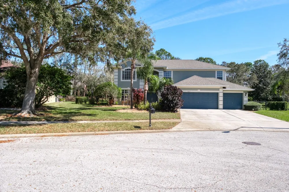 4037 AUSTON WAY Palm Harbor, FL 34685