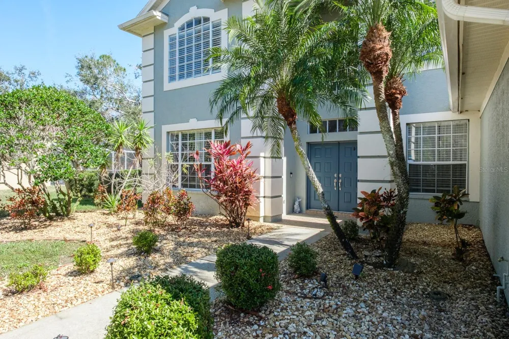 4037 AUSTON WAY Palm Harbor, FL 34685