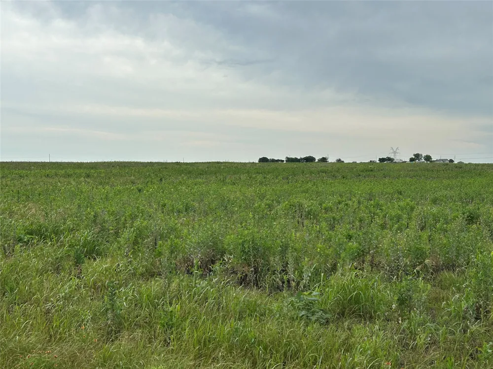 Gooseneck Road Bartlett, TX 76511