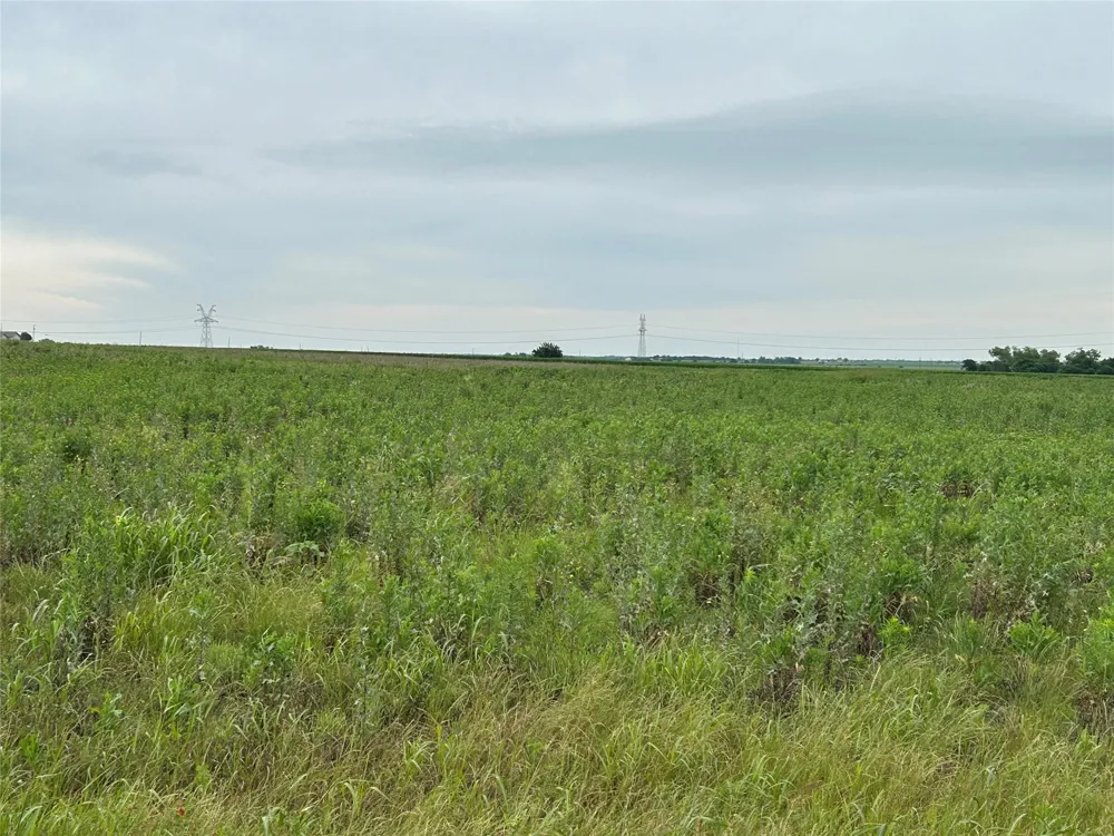 Gooseneck Road Bartlett, TX 76511
