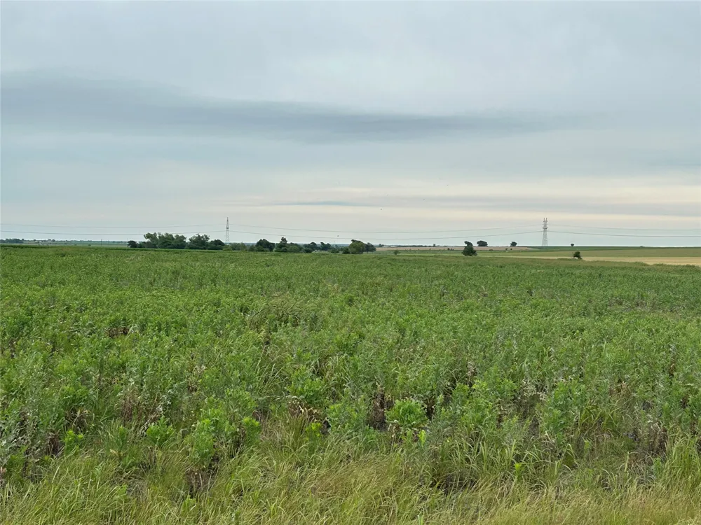 Gooseneck Road Bartlett, TX 76511