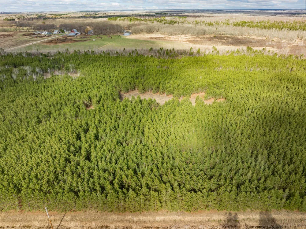 Lot 3 Scenic Highway 7 Bovey, MN 55709