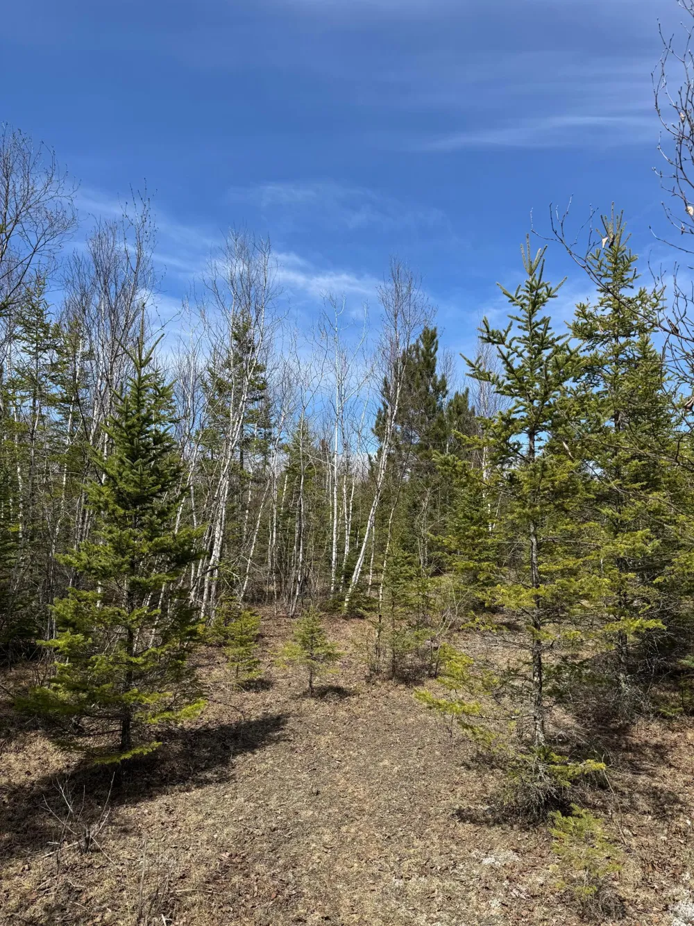 Lot 3 Scenic Highway 7 Bovey, MN 55709