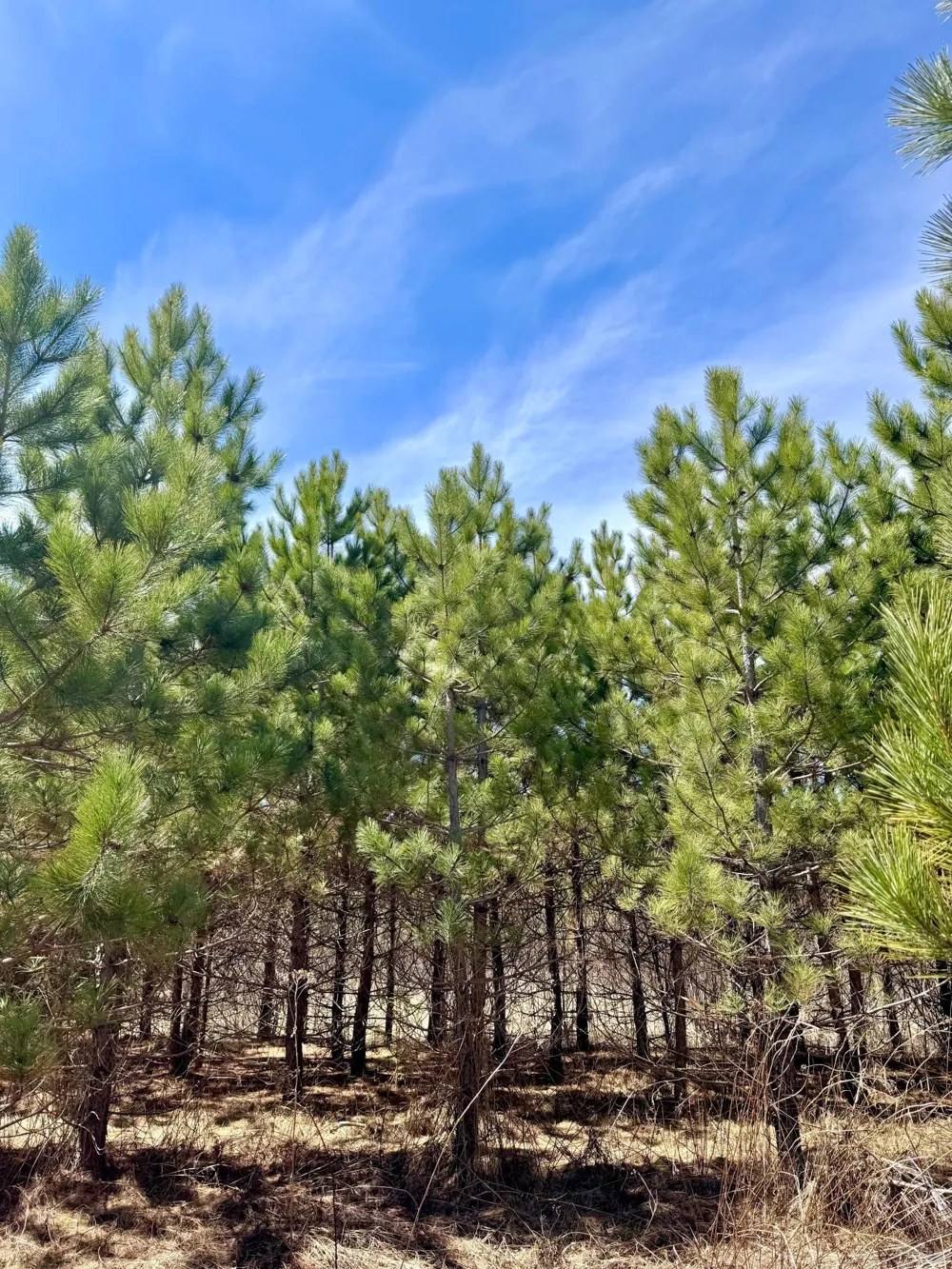 Lot 3 Scenic Highway 7 Bovey, MN 55709