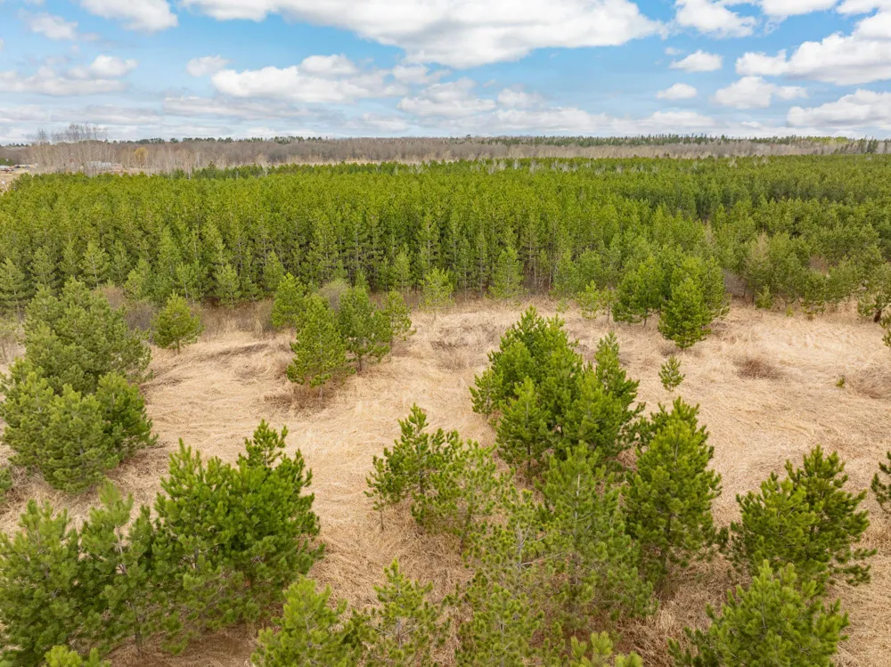 Lot 3 Scenic Highway 7 Bovey, MN 55709