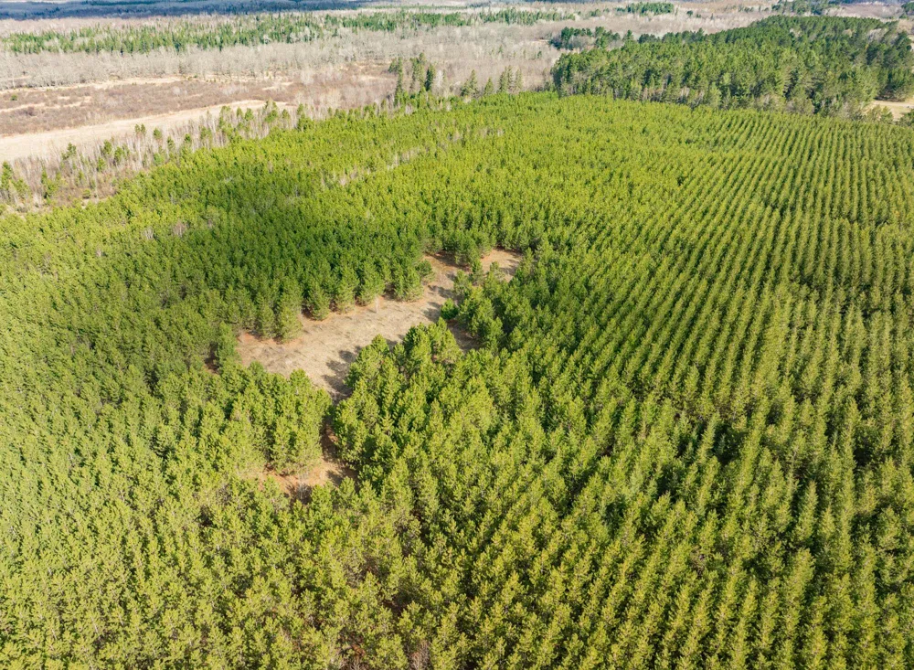 Lot 3 Scenic Highway 7 Bovey, MN 55709