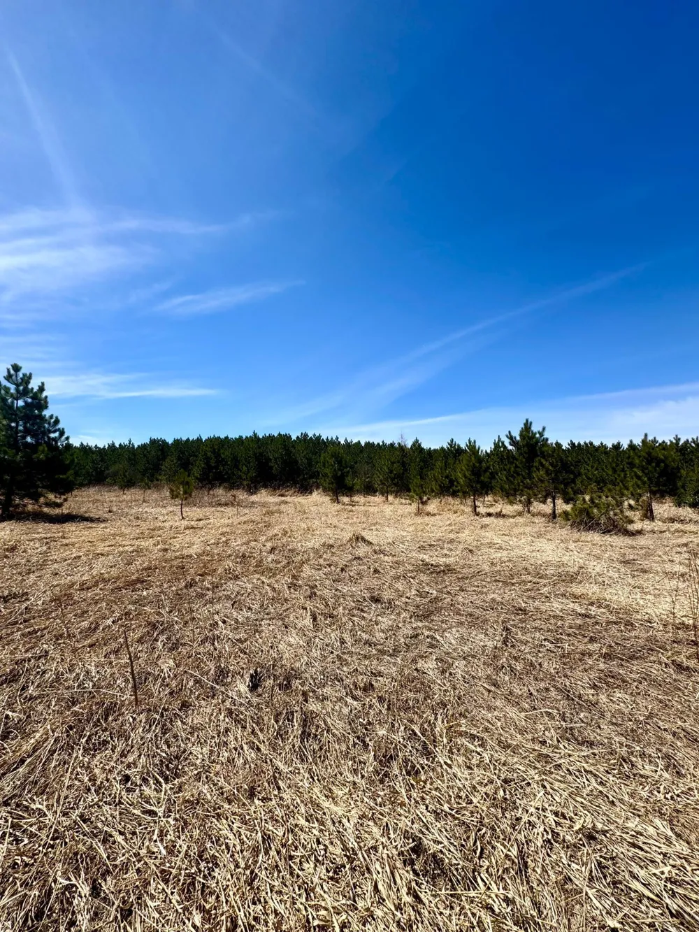 Lot 3 Scenic Highway 7 Bovey, MN 55709