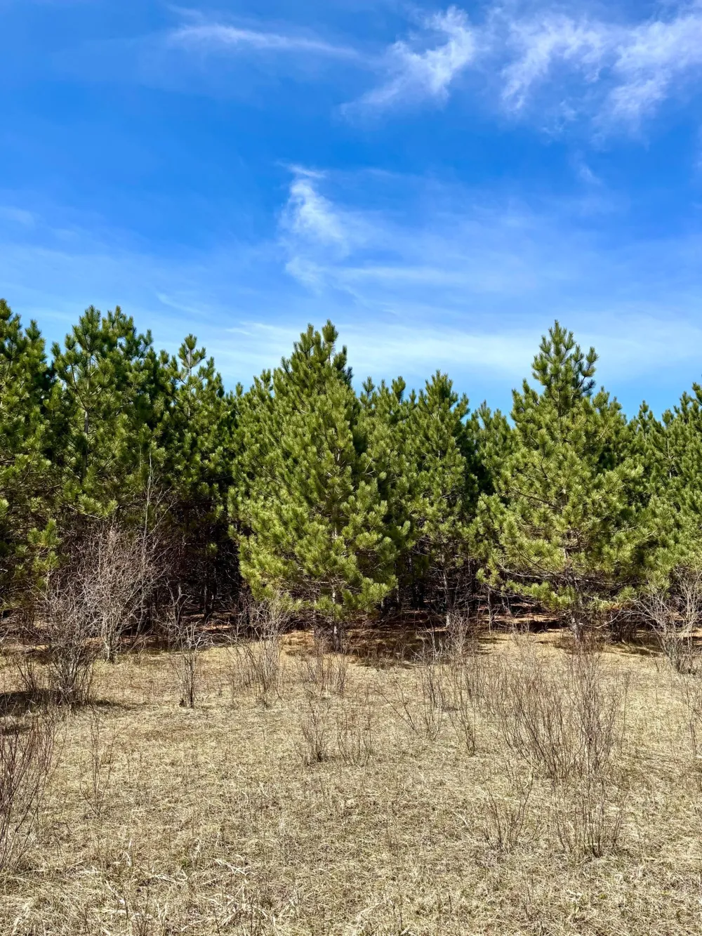 Lot 3 Scenic Highway 7 Bovey, MN 55709