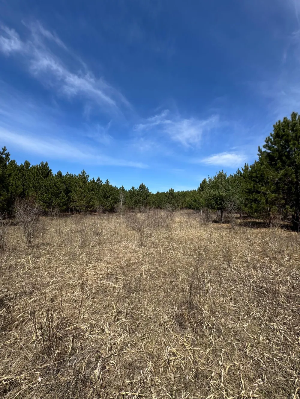 Lot 3 Scenic Highway 7 Bovey, MN 55709