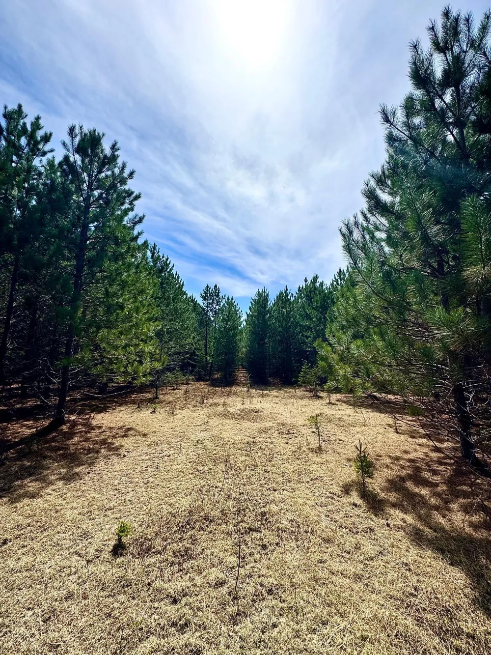 Lot 3 Scenic Highway 7 Bovey, MN 55709