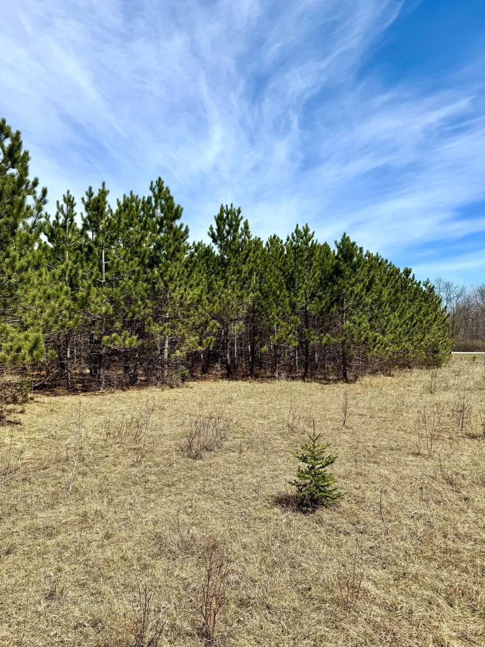 Lot 3 Scenic Highway 7 Bovey, MN 55709