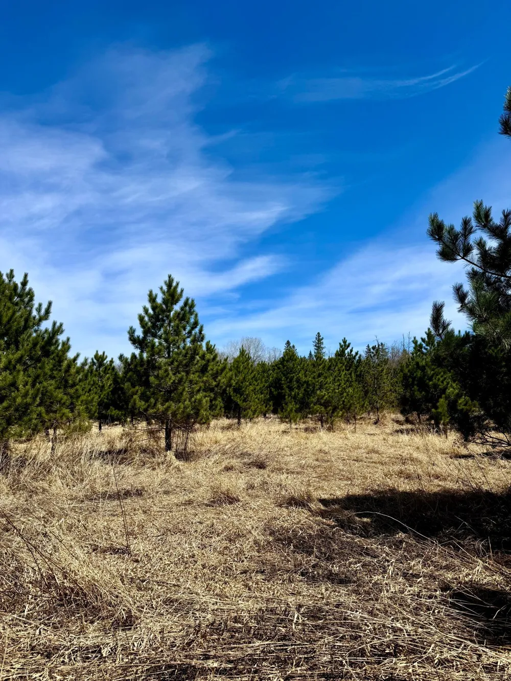 Lot 3 Scenic Highway 7 Bovey, MN 55709