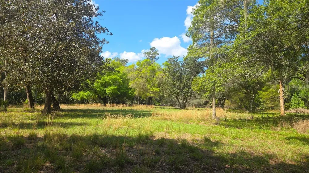 2140 ST JOHNS RIVER ROAD Astor, FL 32102