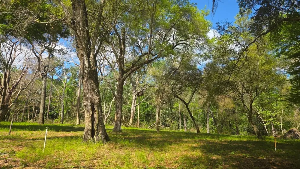 2140 ST JOHNS RIVER ROAD Astor, FL 32102