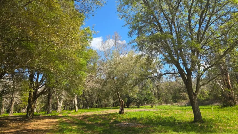 2140 ST JOHNS RIVER ROAD Astor, FL 32102