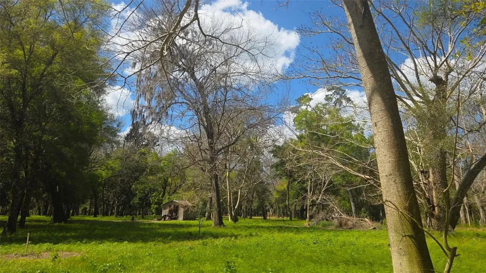 2140 ST JOHNS RIVER ROAD Astor, FL 32102